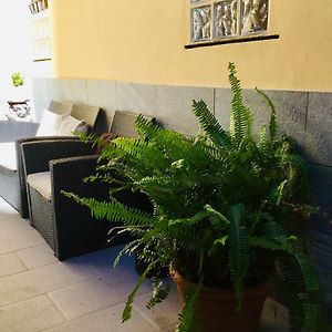 New Hostel Florence